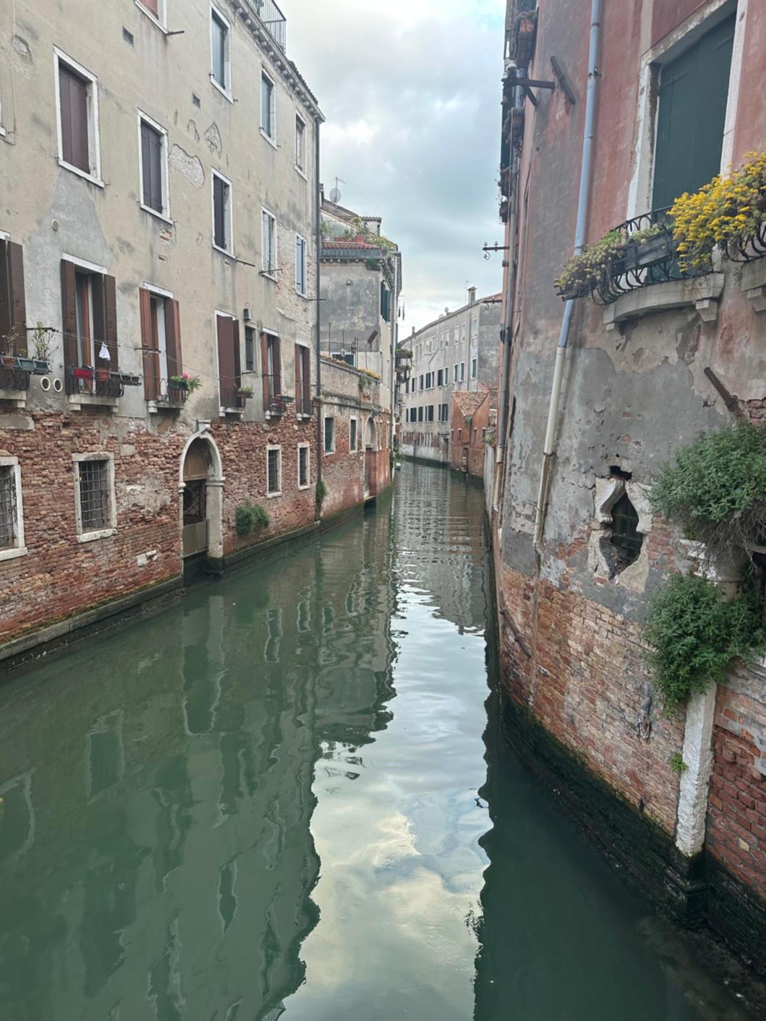 Queen Apartamento Venecia